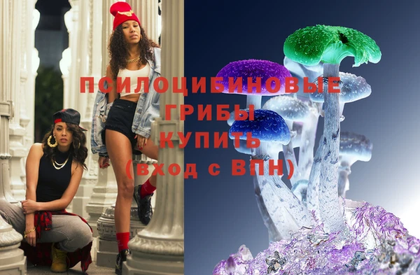 прущий лед Бородино