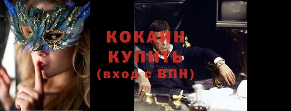 прущий лед Бородино
