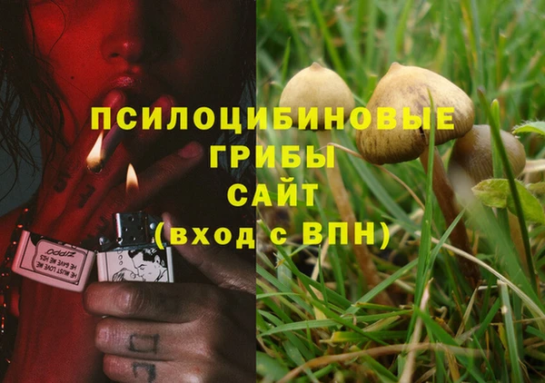 прущий лед Бородино