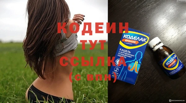 прущий лед Бородино