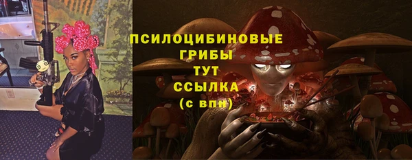 MDMA Premium VHQ Бронницы