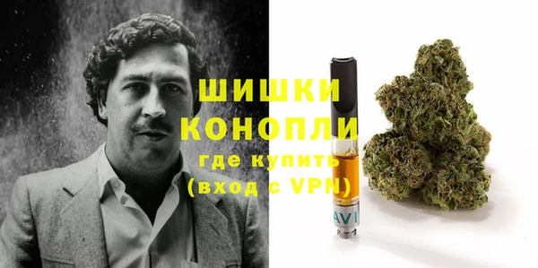 прущий лед Бородино