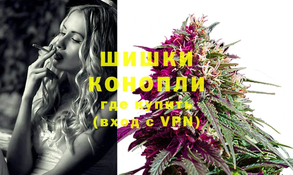 прущий лед Бородино